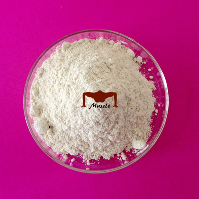 Testosterone Propionate (ycgsales03@ycphar.com)