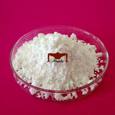 Testosterone Decanoate (ycgsales03@ycphar.com)  