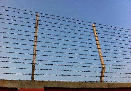 black vinyl coated china link fence