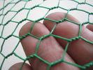 Vinyl Coated Hexagonal Wire Netting/PVC Hexagonal Wire Netting