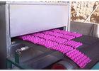 Rotary Type Pulp Molding Machine ， Egg Tray Production Line