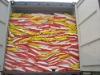 Washing Powder(skype,dorothy5336)