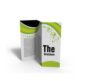 Paper Printed Brochures with Z fold