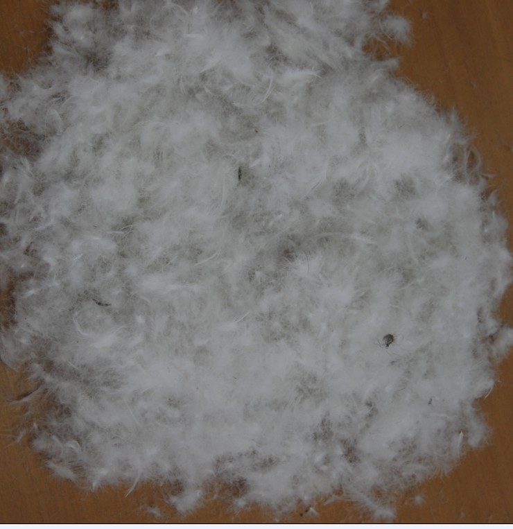 70% Normal white duck& acute;s down