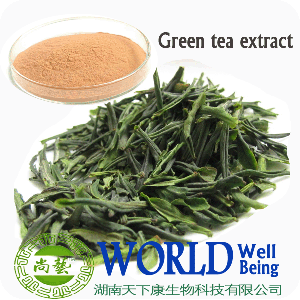 Green Tea Extract /EGCG 60% 98% Tea Polyphenol 