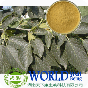 Eucommia Leaf Extract Eucommia Chlorogenic Acid 25