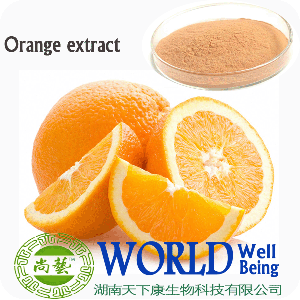 Orange Peel Extract 90% Hesperidin Citrus Extract 