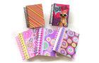 4.5” x 5.5” Plastic Spiral Stylish Fat Book for daily writing and note taking