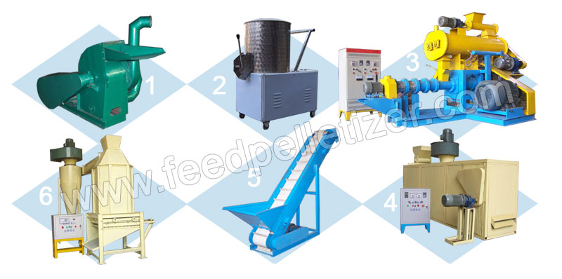 100 kg/h Floating Fish Feed Line