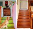 Steel automatic Babies Safety Gates for Stairs , Kids Safety Gates