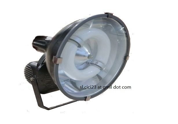 OPFL0812 100-300W Flood light Induction lamp manufacturer electrodeless lamp energy saving
