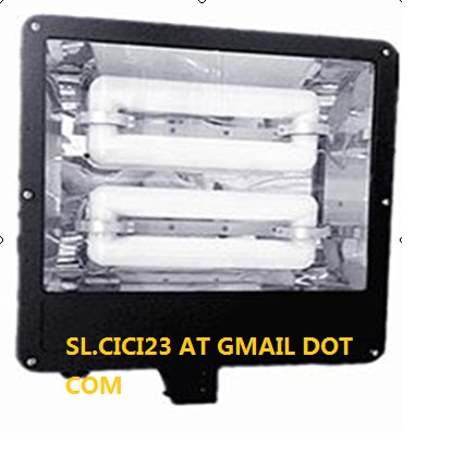 Flood Light OPFL0808 Induction lamp manufacturer electrodeless lamp energy saving
