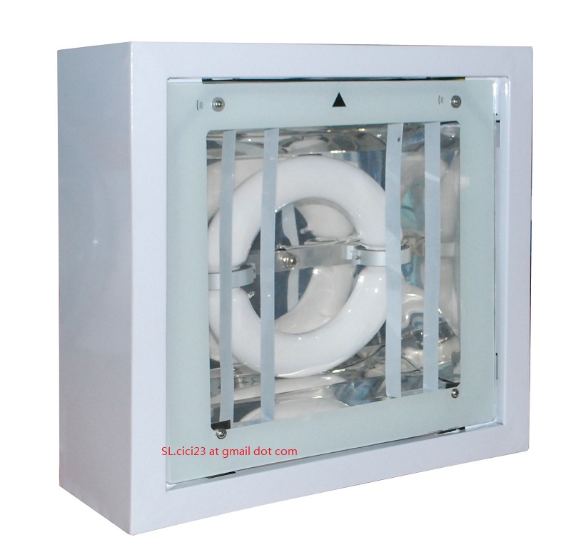 80-150W gasoline station lamp Induction lamp manufacturer electrodeless lamp energy saving