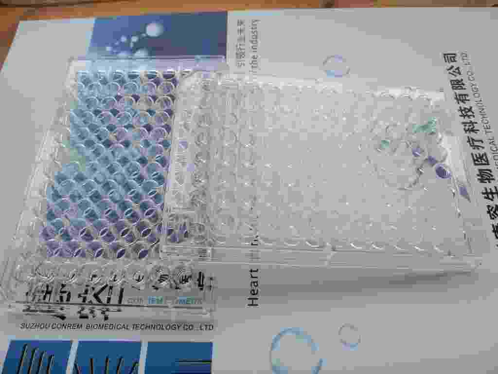 96 well plate, U ,V ,Flate bottom 300 ul 