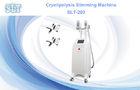 Pro Spa Fat Removal Cryolipolysis Slimming Machine For Belly Body Shaping / Fat Loss