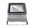100W Garden Brightest Outdoor LED Flood Lights , CE IP66 COB LED flood lights fixtures