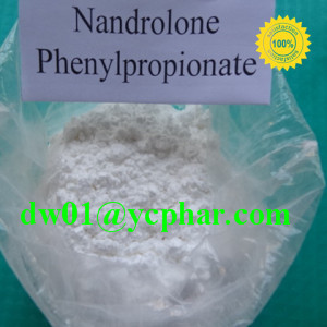 Nandrolone Phenylpropionate Durabolin 62-90-8 Available with Fast Shipping