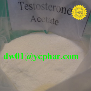 Muscle Building Raw Steroid USP32 Testosterone Acetate CAS: 1045-69-8