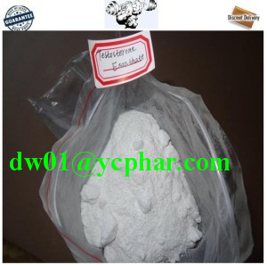 Muscle Building Raw Testosterone Enanthate Powder
