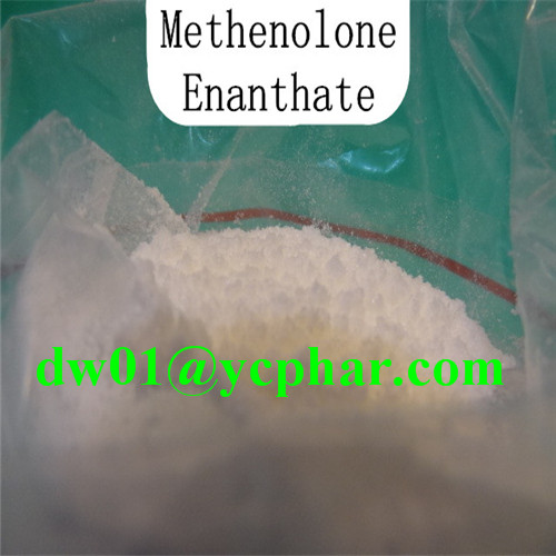 Primobolan Steroid Powder Meth Enan Methenolone Enanthate
