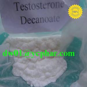 Testosterone Decanoate High Quality Steroid Powder for body building
