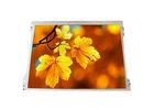 12.1& quot; AUO LCD Panel G121XN01 V0 for Medical Equipment , ATM , POS