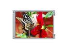 AUO 12.1& quot; TFT LCD Panel G121XTN01.0 for Industrial Laptop Screen