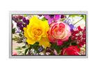 RGB 12.1& quot; 6.7W NEC LCD Panel Screen NLB121SV01L-01 450nit 800 x 600