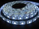 72W SMD5050 60LEDs DC12 DC24V Eco - Friendly  Warm White LED Flexible Strip Lights
