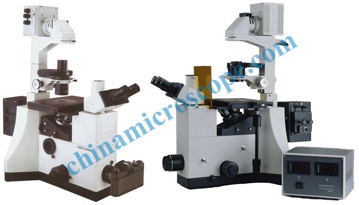 IBE2000 inverted fluorescence microscope