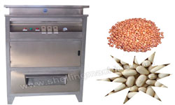 Peanut Peeling Machine