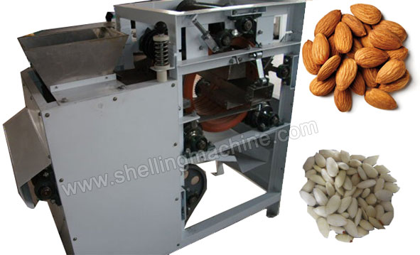 Almond Peeling Machine