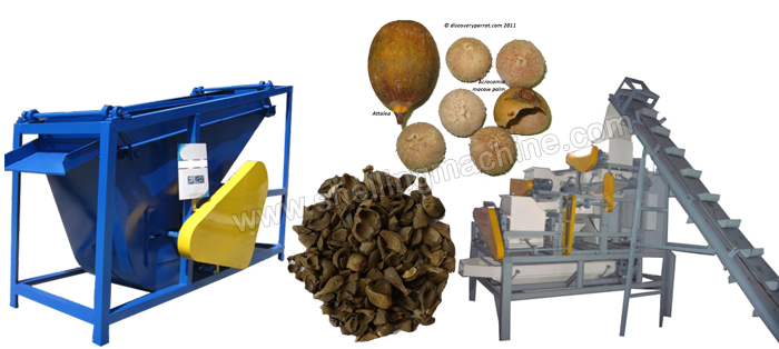 Palm Kernel Shelling Machine