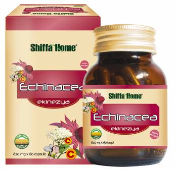 ECHINACEA HERBAL HEALTHCARE SUPPLEMENT CAPSULE A Powerful Defense System 350 mg x 60