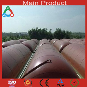 2014 New biogas plant for home/factory