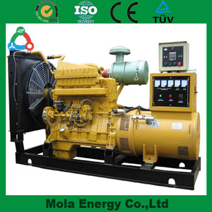 new biogas generator 500W-200KW
