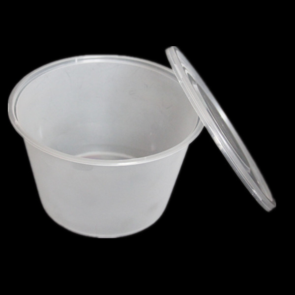 Food Packaging Professional Manufacture in China (A1000)