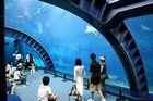 Shopping mall decorated crylic tunnel ,  Fish Tank Aquarium tunnels large