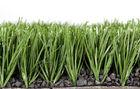 Monofilament Polypropylene Artificial Turf 3/4 Gauge 50mm Dtex8000