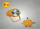 Stationary Ex-Proof MH / HPS IP65 Floodlight For Electricity Industry Lighting