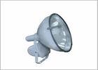 IP65 Waterproof / Dustproof / Shockproof Spotlight , 250W / 400W / 1000W