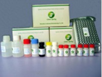 Aflatoxin M1 ELISA test kit