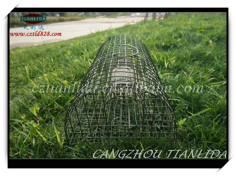 High quality live mouse trap cage