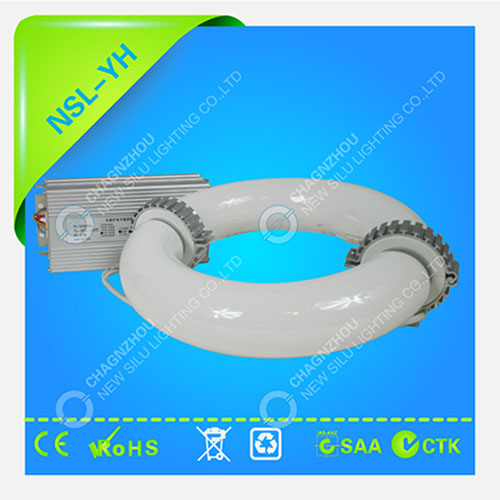40~300w induction lamp(circle)