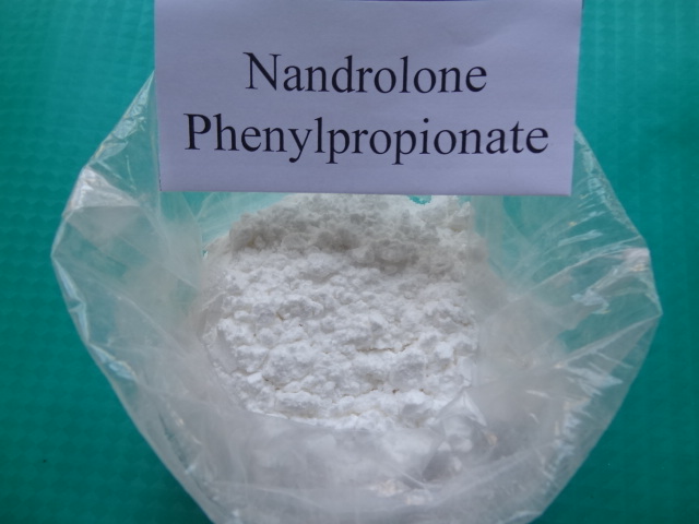 Nandrolone phenylpropionate hormone steroid powder High Quality,Delivery guarantee shelly@pharmade.com