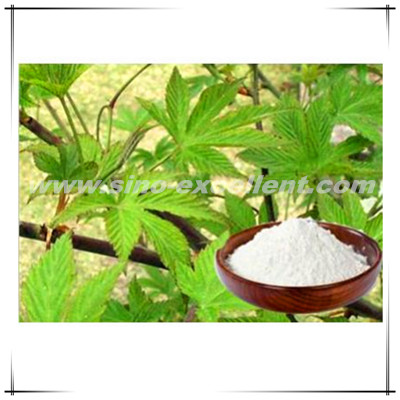 High quality Sweet Tea P.E.