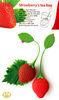 Food Grade Silicone Floating Strawberry Tea Infuser Red / Yellow