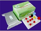 Deoxynuvalenol ELISA test kit