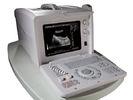 Portable Digital Ultrasound Scanner 200C+ with SVGA Screen Transvaginal + Micro Convex Probe