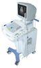 15& quot; Svga Monitor Digital Design Pc Trolley Ultrasound Machine 3000B